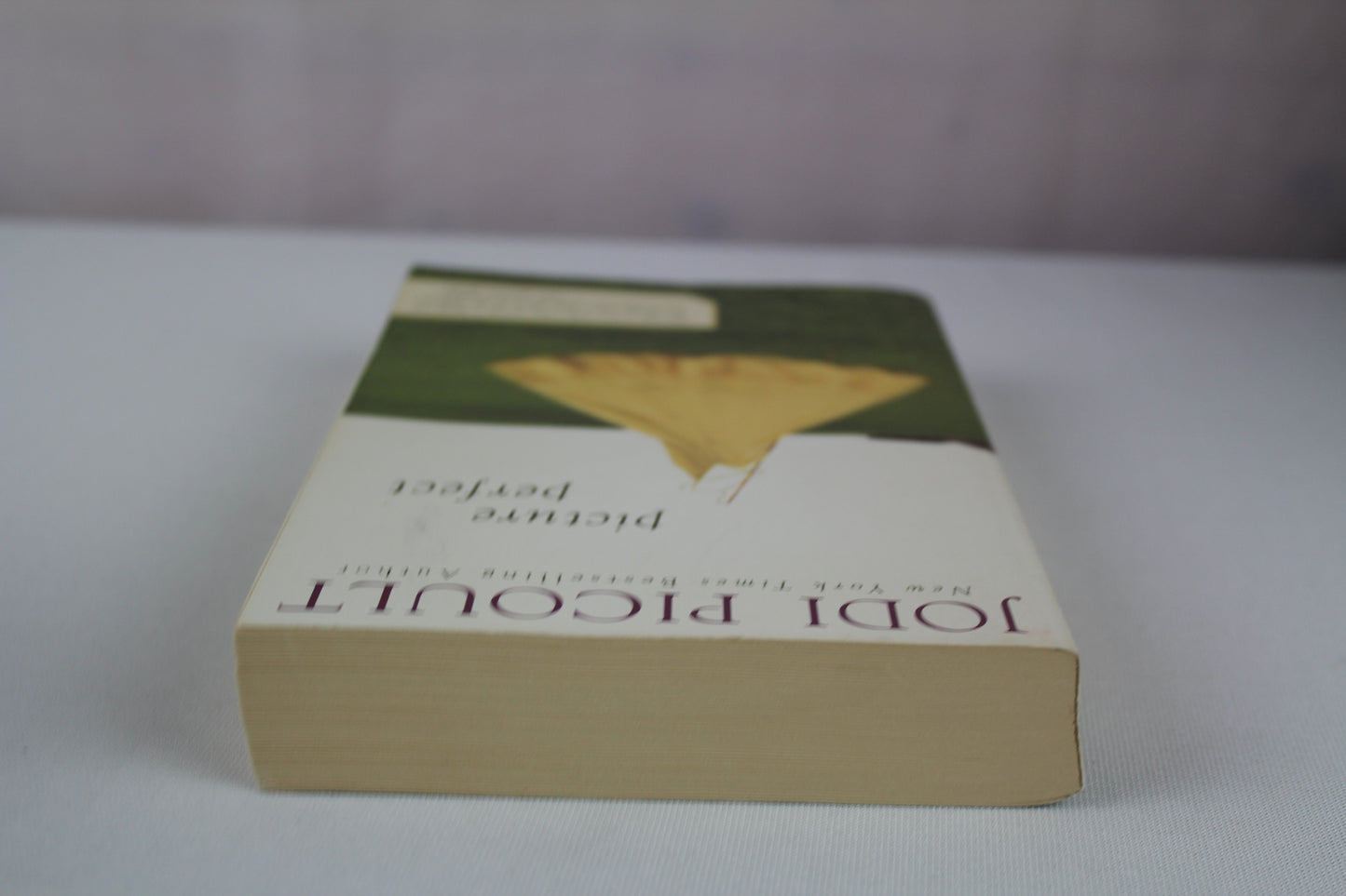 Picture Perfect by Jodi Picoult