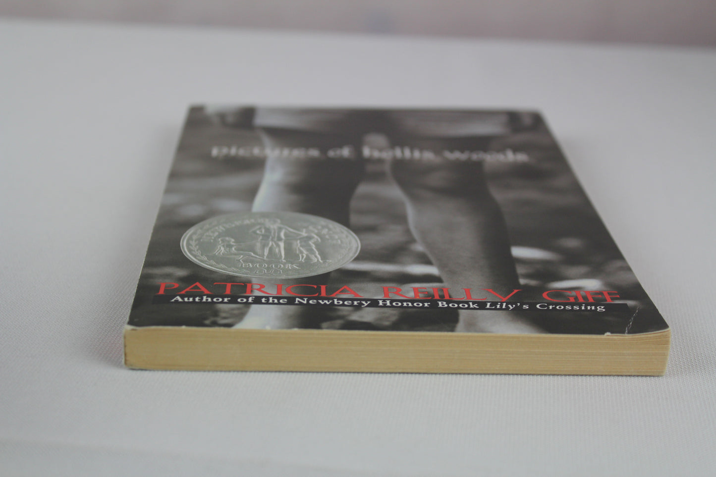 Pictures of Hollis Woods by Patricia Reilly Giff