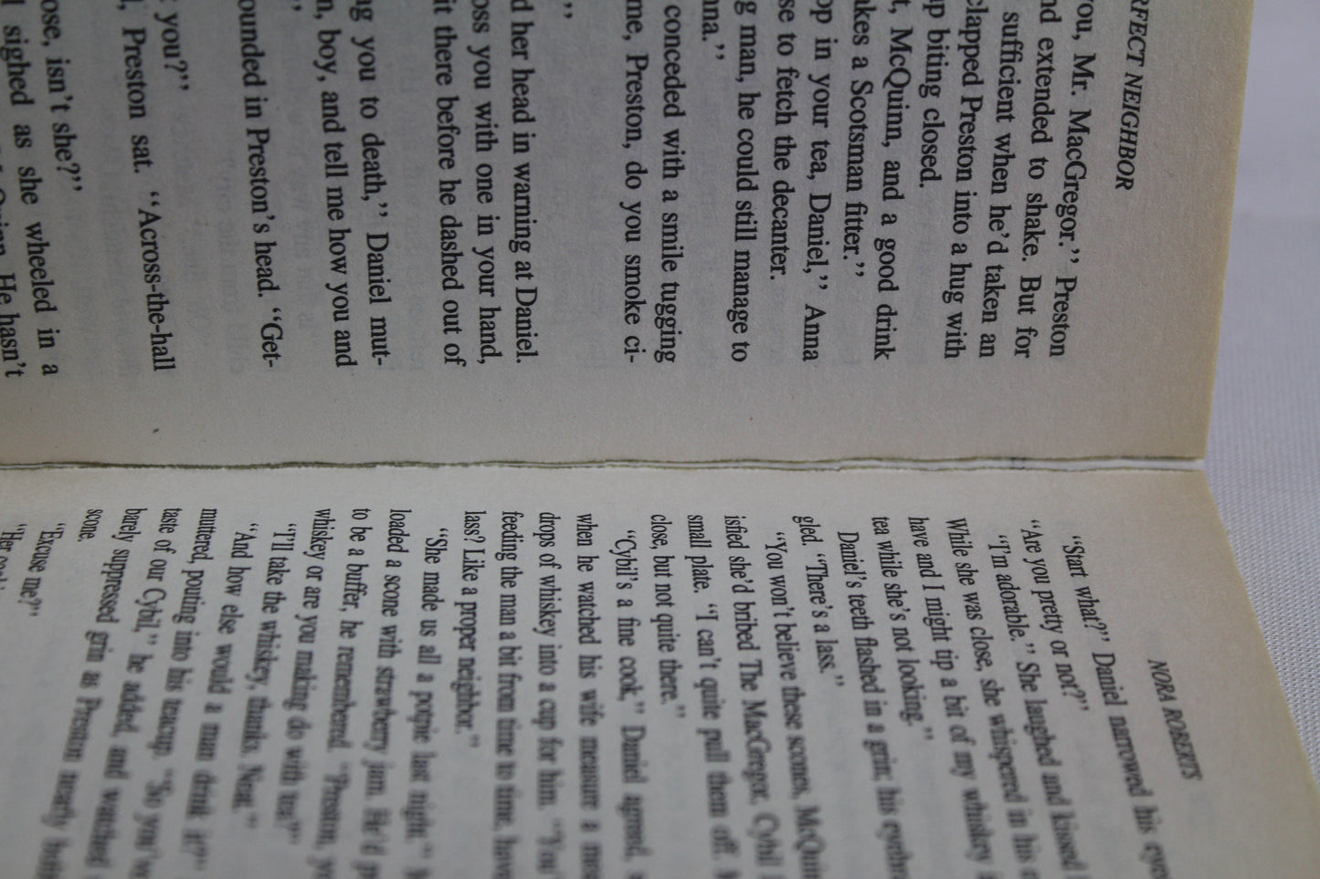 The Perfect Neighbor (The Macgregors) by Nora Roberts
