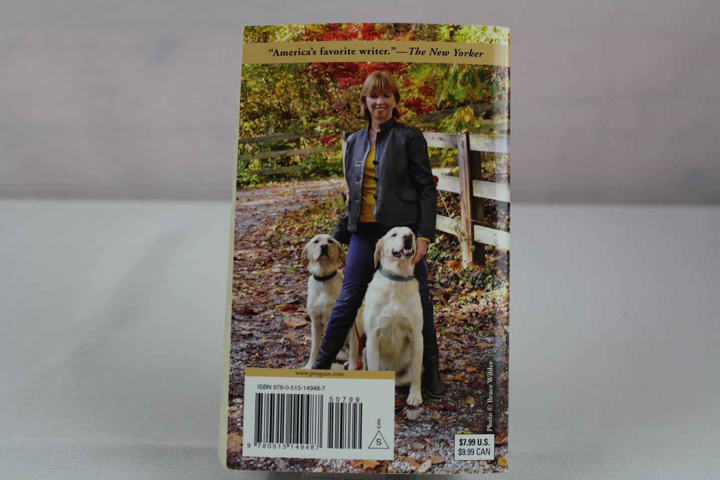 The Search by Nora Roberts