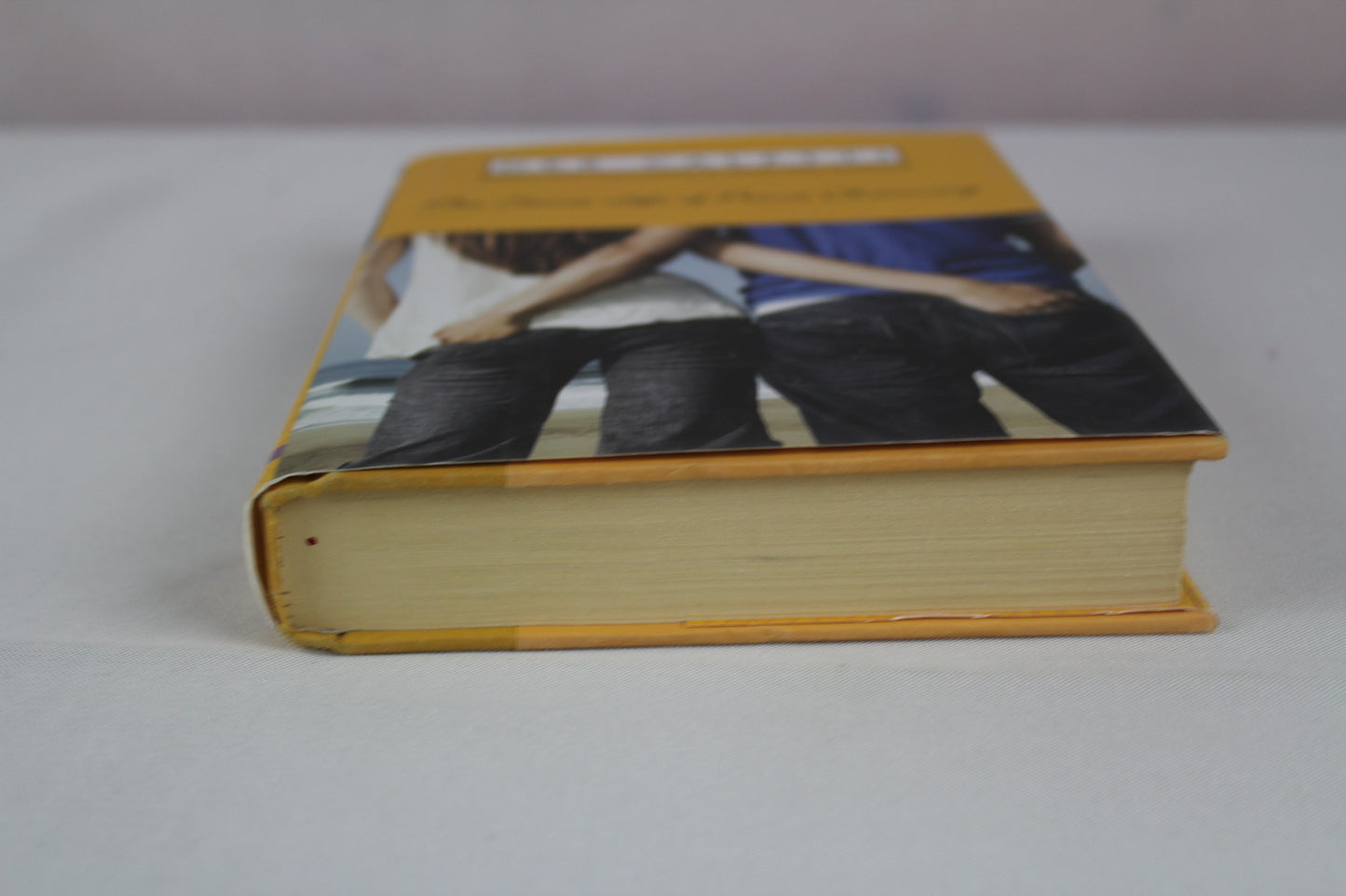 The Secret Life of Prince Charming by Deb Caletti