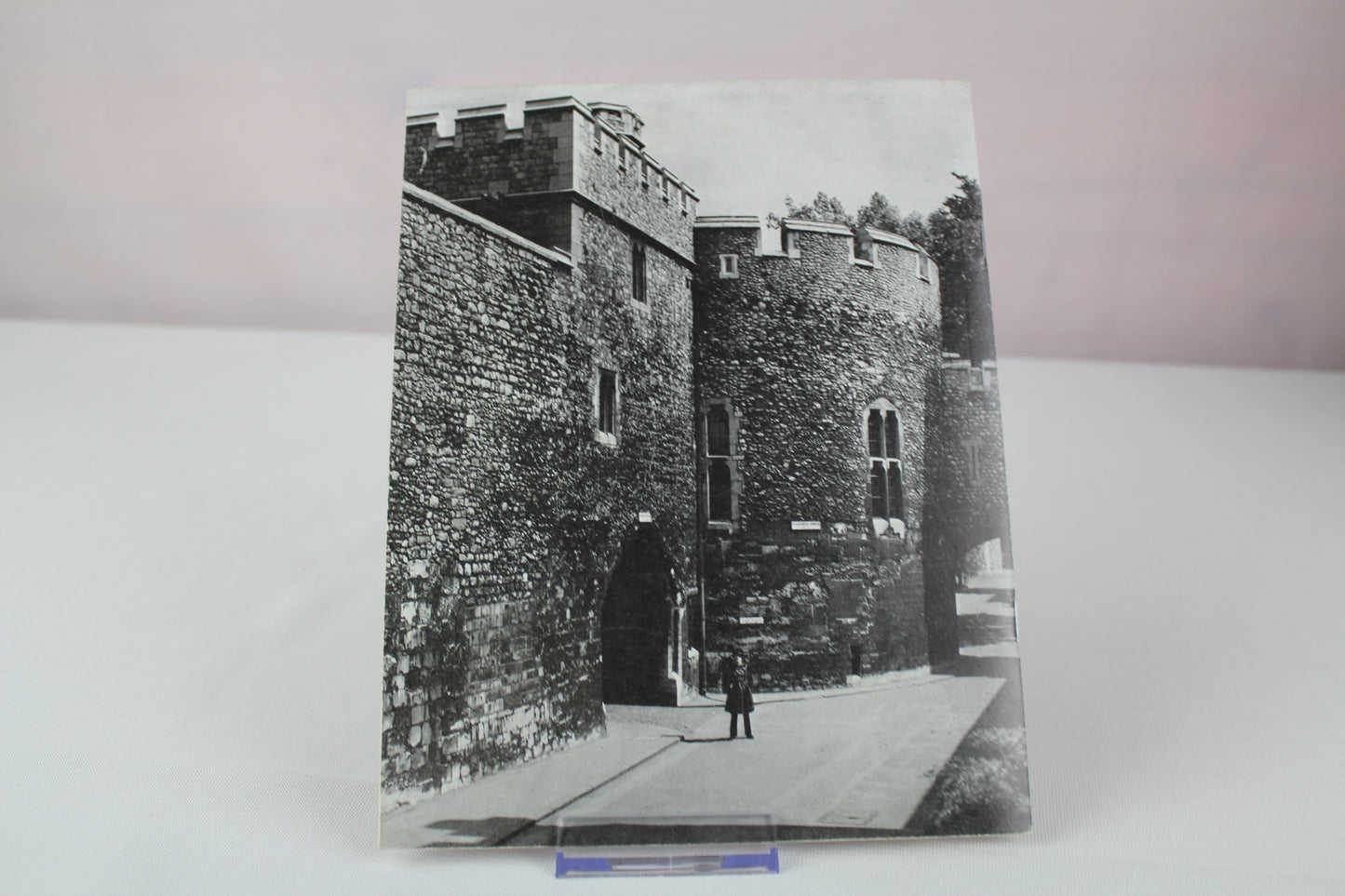 Prisoners in the Tower by Olwen Hedley