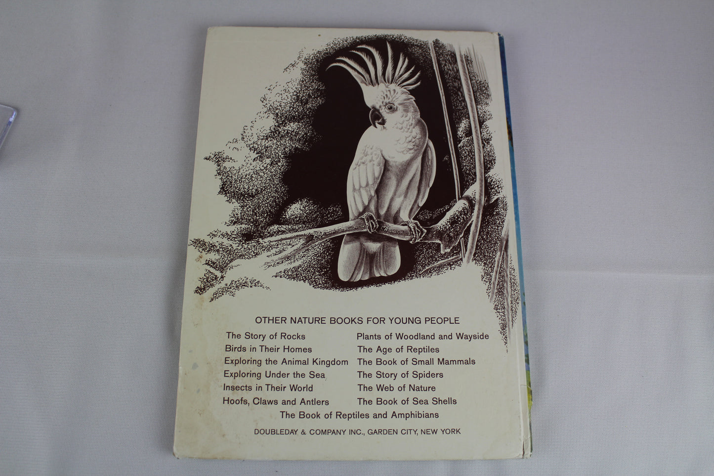 Expedition: The Story of a Natural History