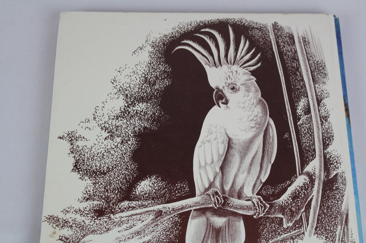 Expedition: The Story of a Natural History