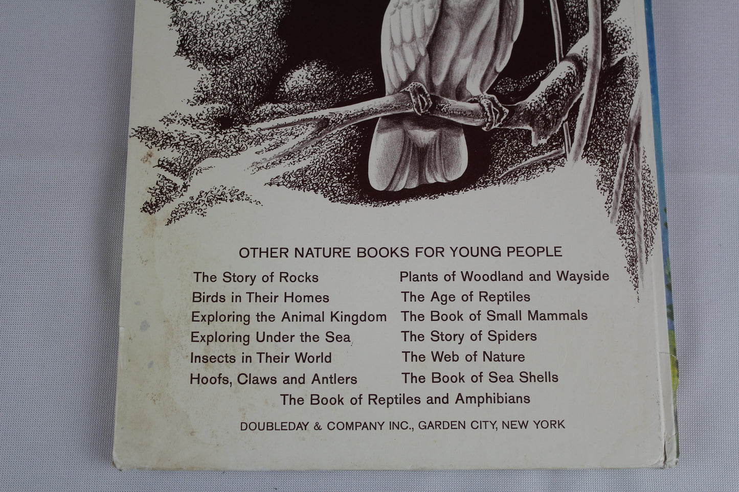 Expedition: The Story of a Natural History