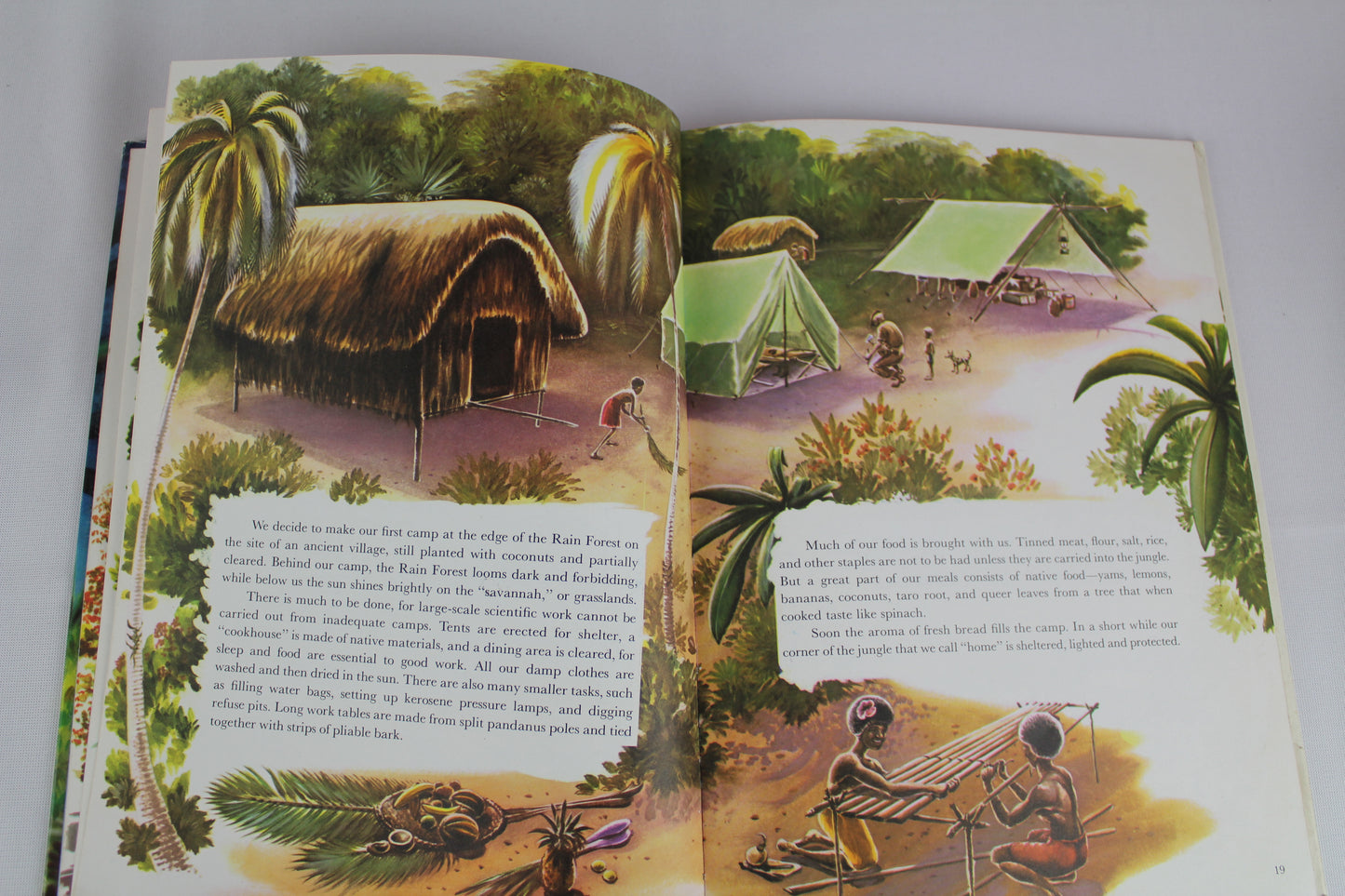 Expedition: The Story of a Natural History