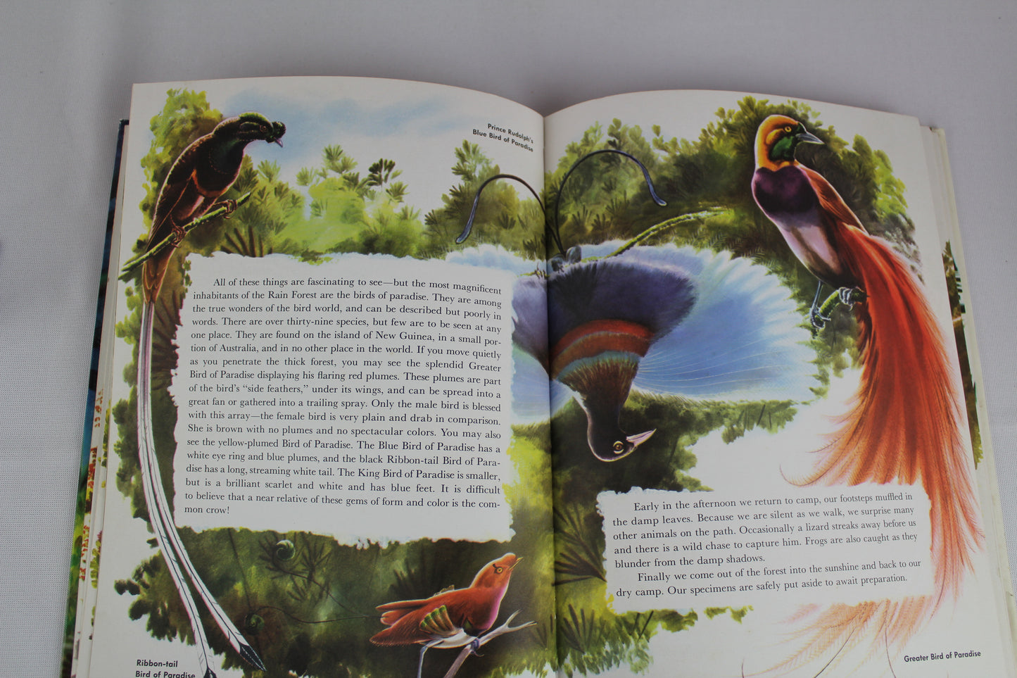 Expedition: The Story of a Natural History