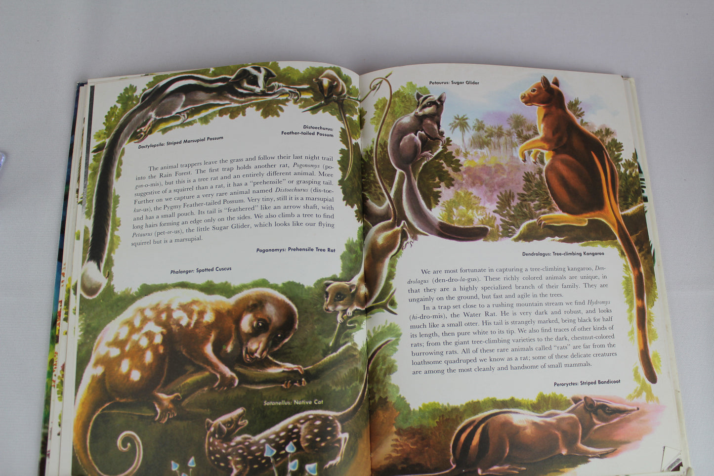 Expedition: The Story of a Natural History