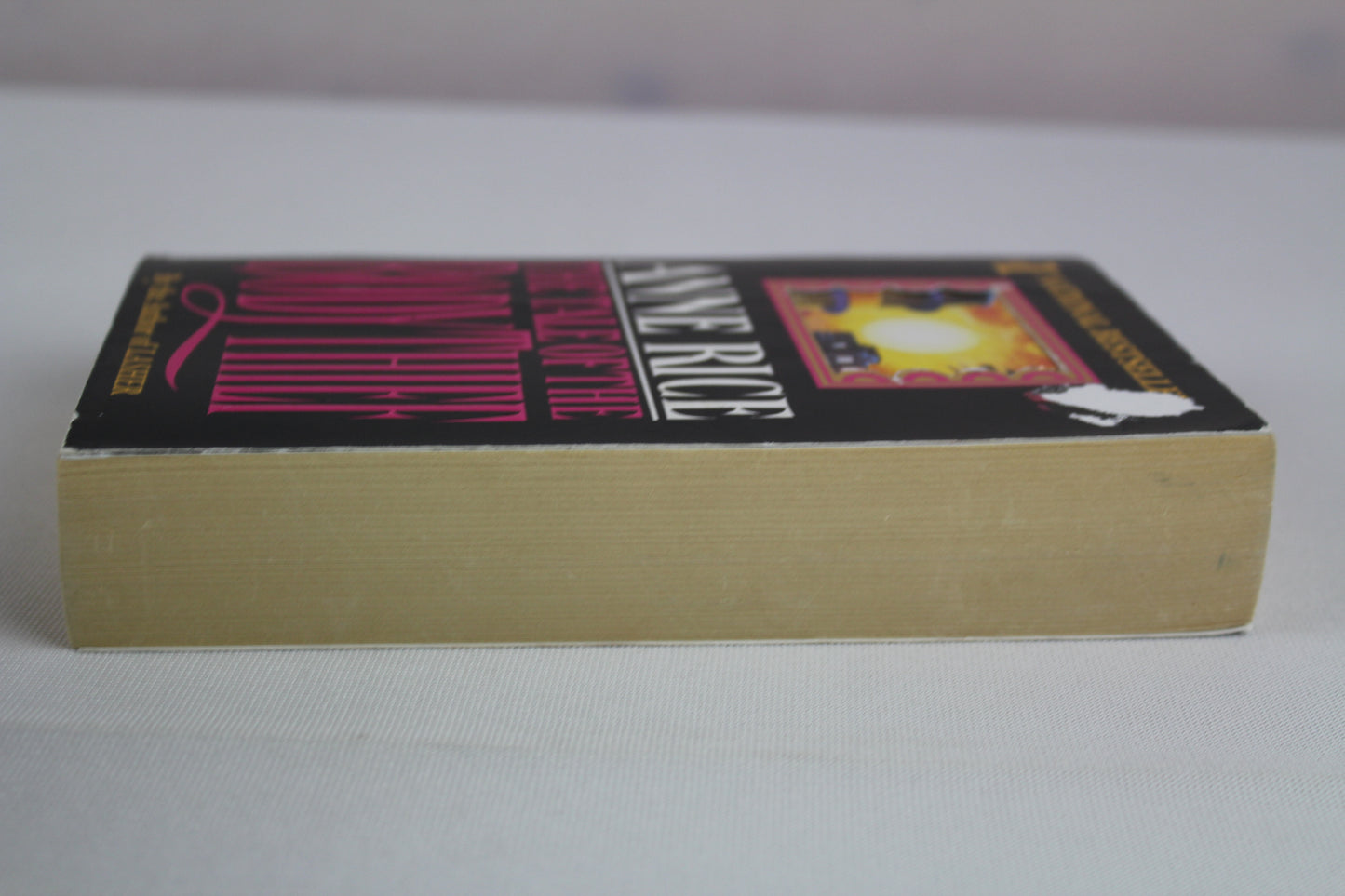 The Tale of the Body Thief (Vampire Chronicles) by Anne Rice