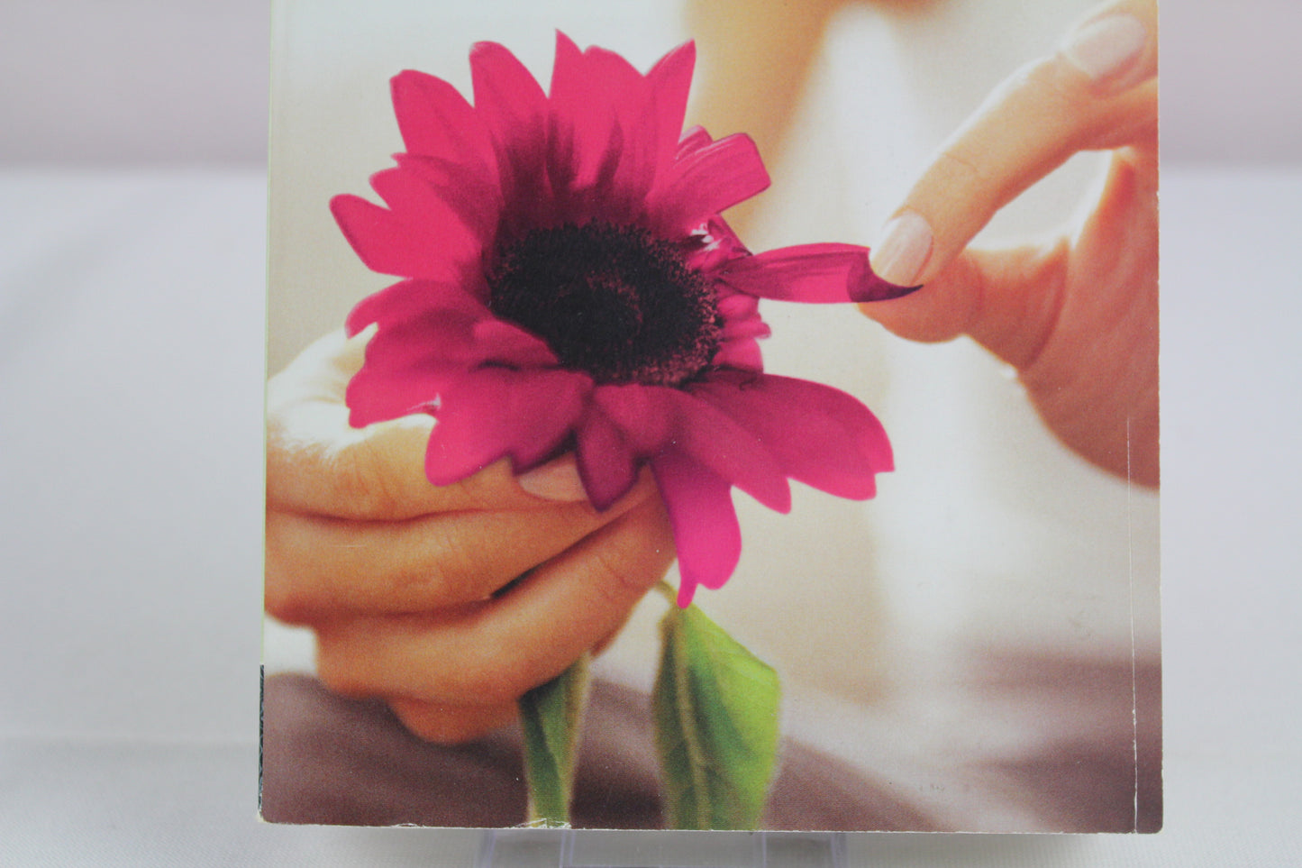 The Truth About Forever by Sarah Dessen