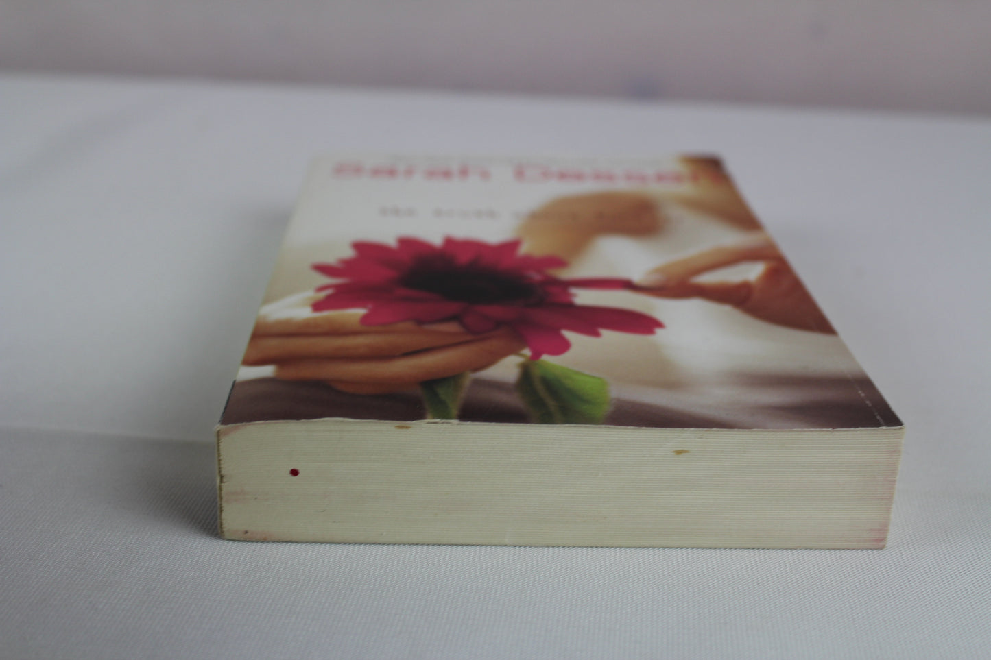 The Truth About Forever by Sarah Dessen