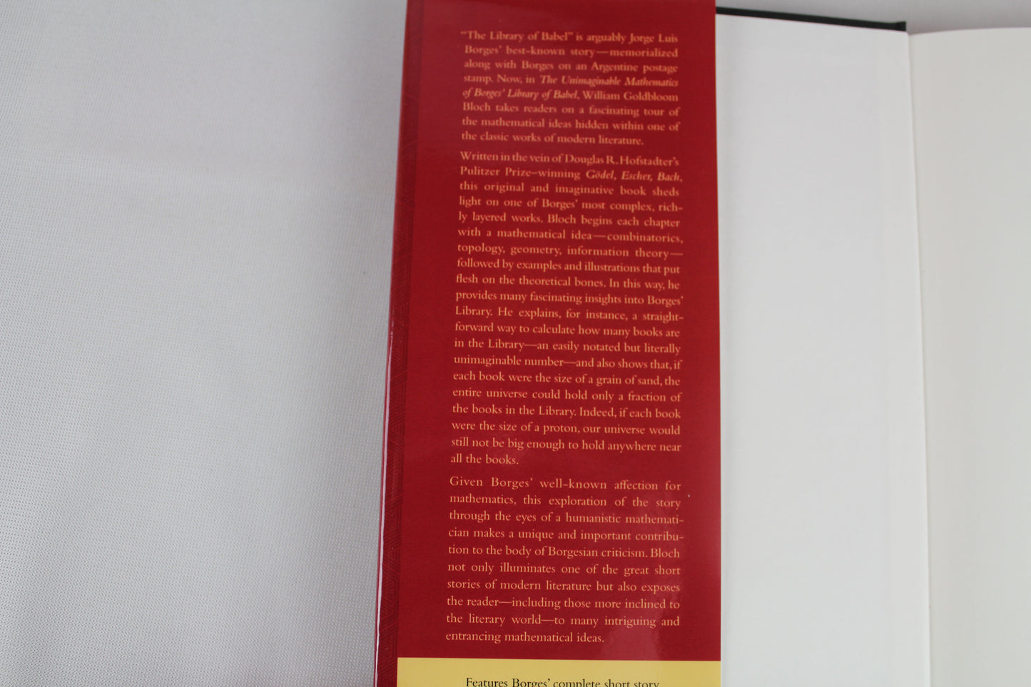 The Unimaginable Mathematics of Borges' Library of Babel by William Goldbloom Bloch