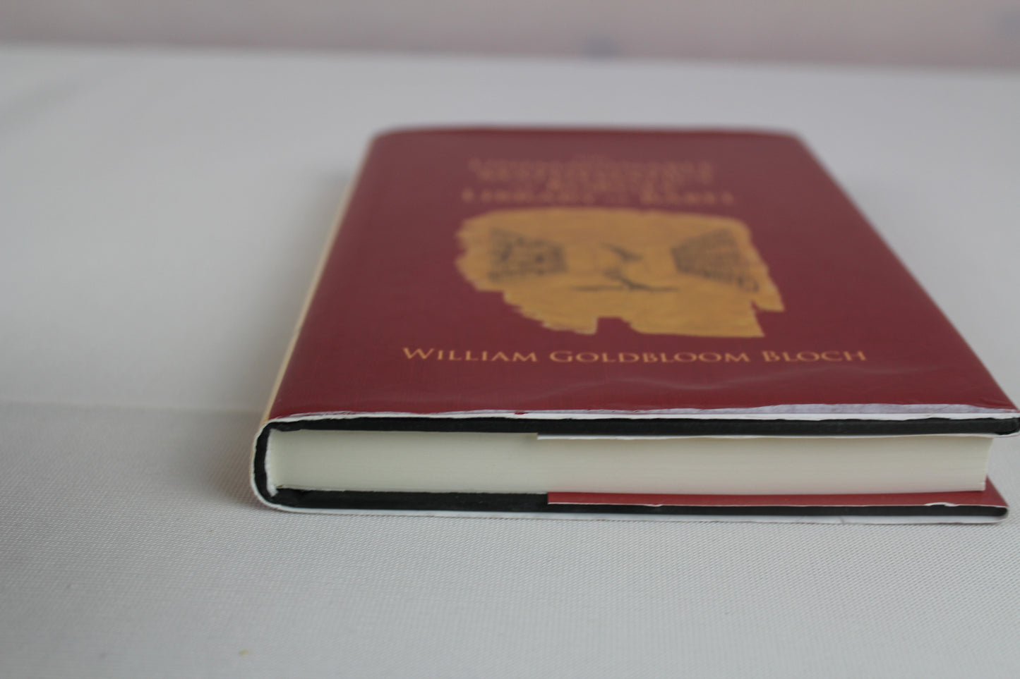 The Unimaginable Mathematics of Borges' Library of Babel by William Goldbloom Bloch