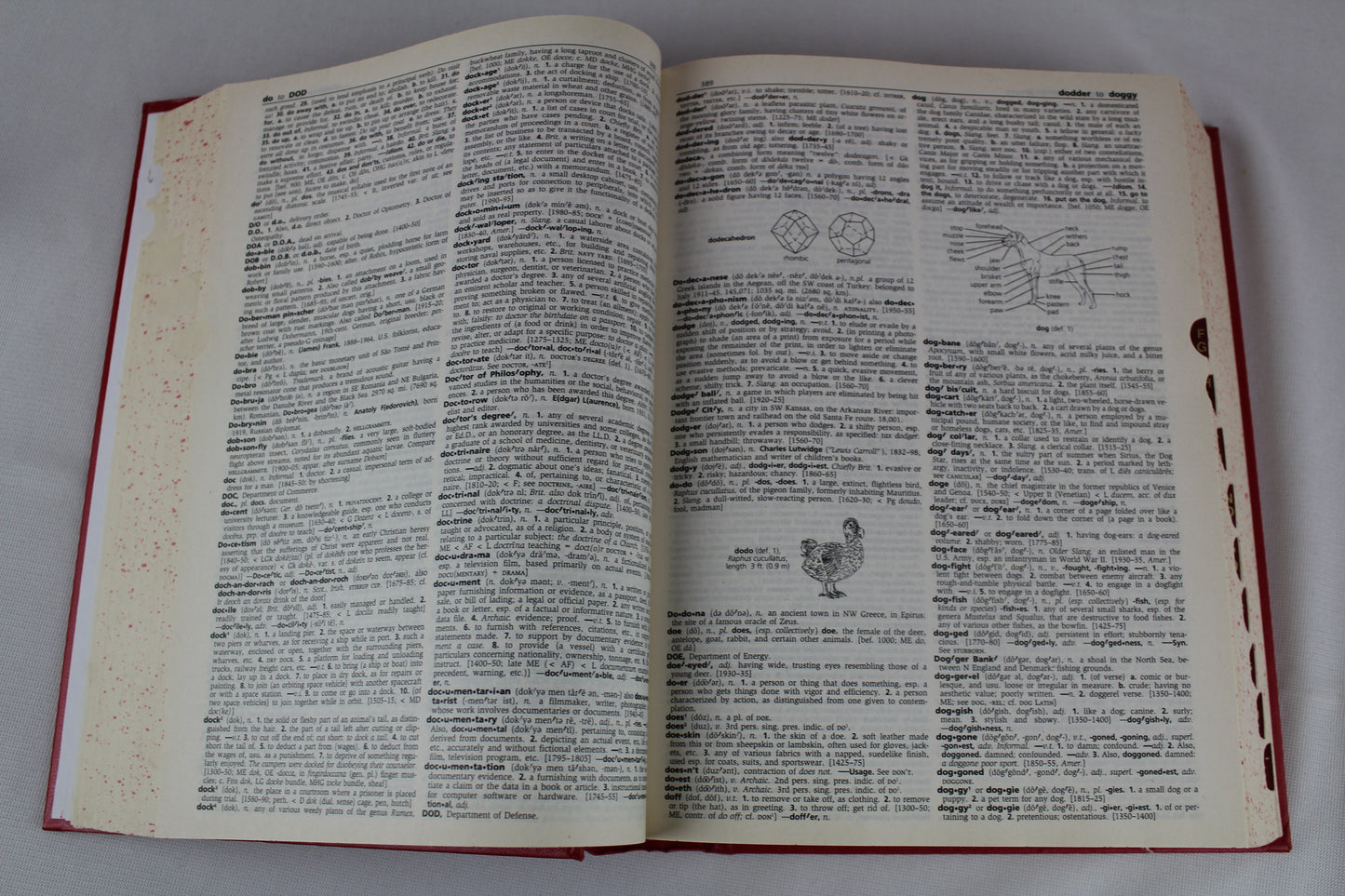 Random House Webster's College Dictionary by Random House