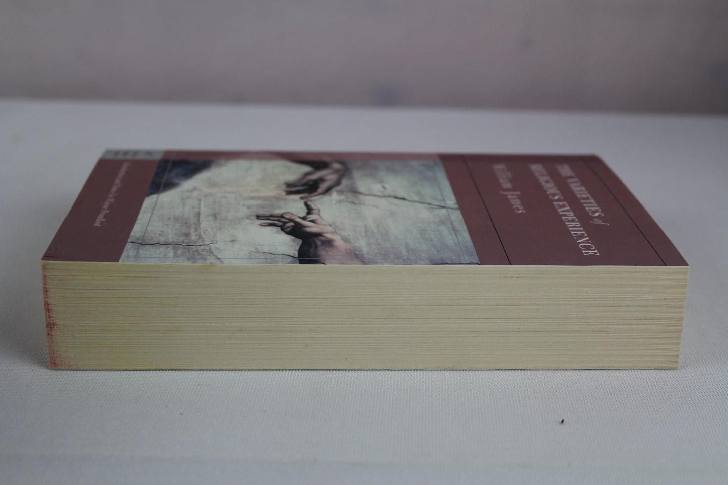 The Varieties of Religious Experience: A Study in Human Nature by William James, Wayne Proudfoot