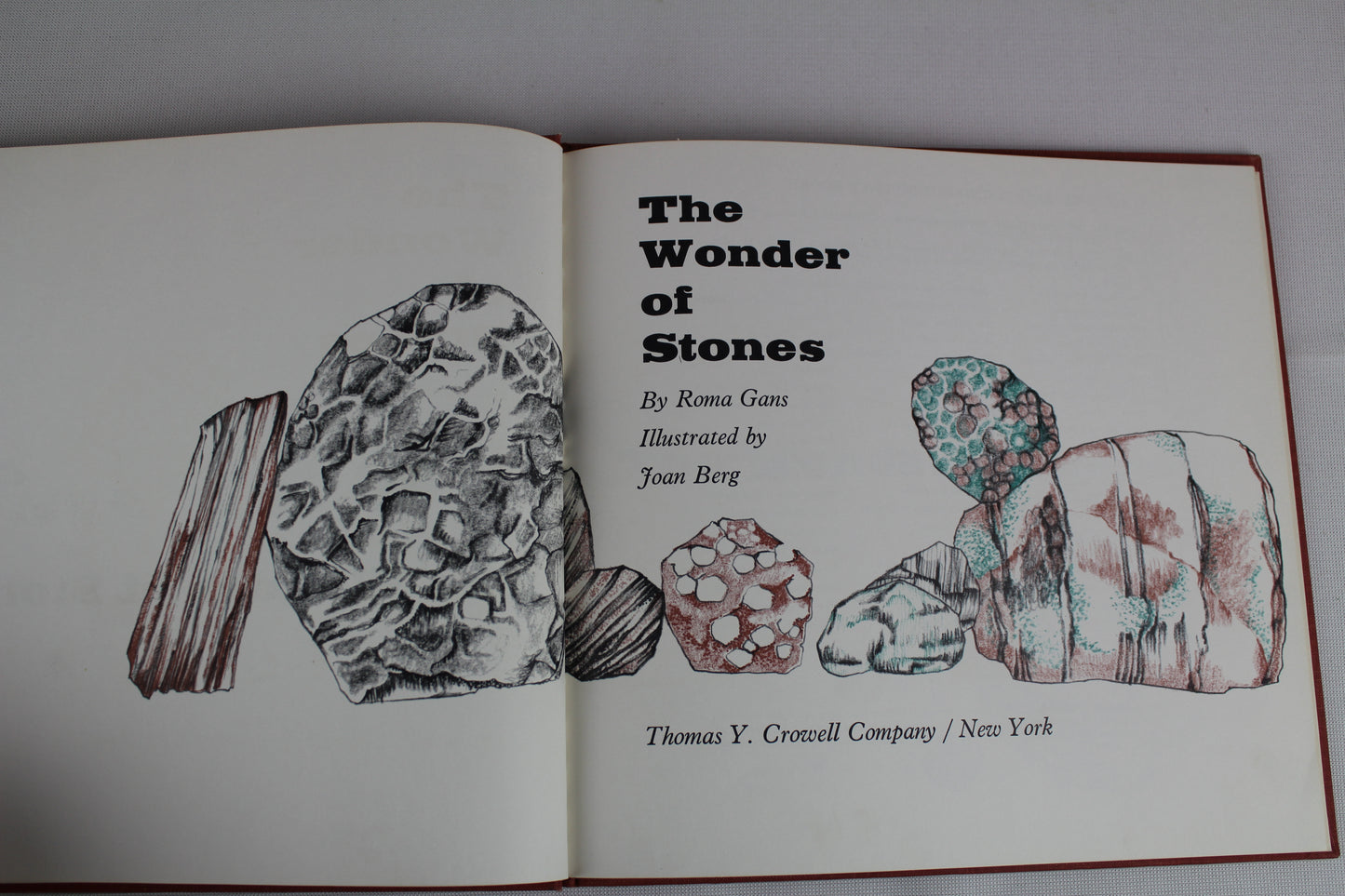 The Wonder of Stones. by roma gans