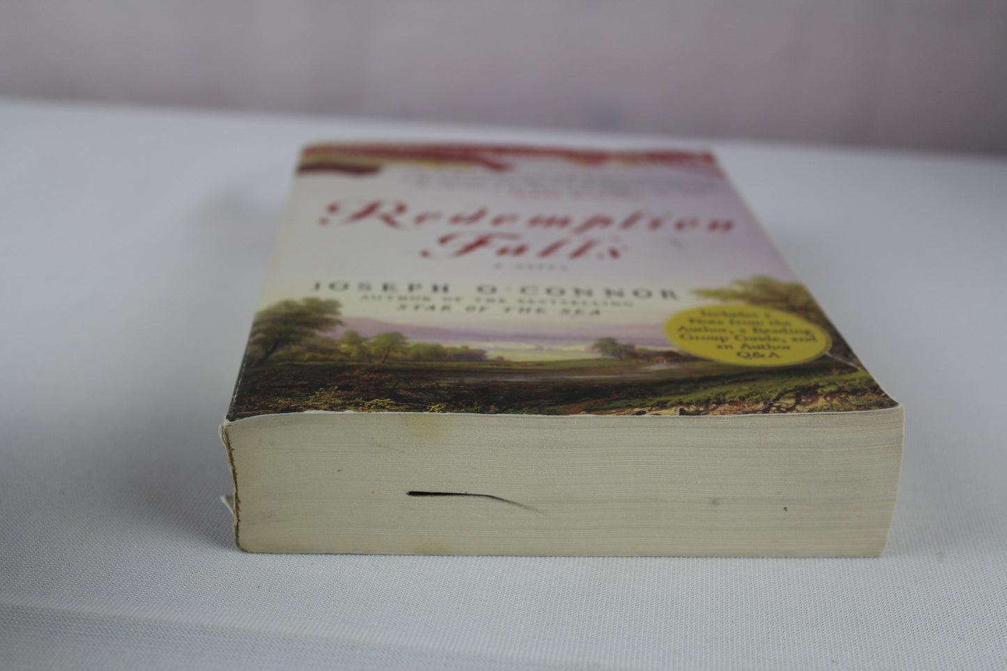 Redemption Falls: A Novel (Bestselling Historical Fiction) by Joseph O'Connor
