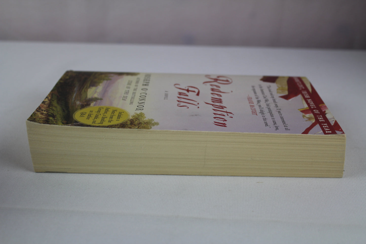 Redemption Falls: A Novel (Bestselling Historical Fiction) by Joseph O'Connor