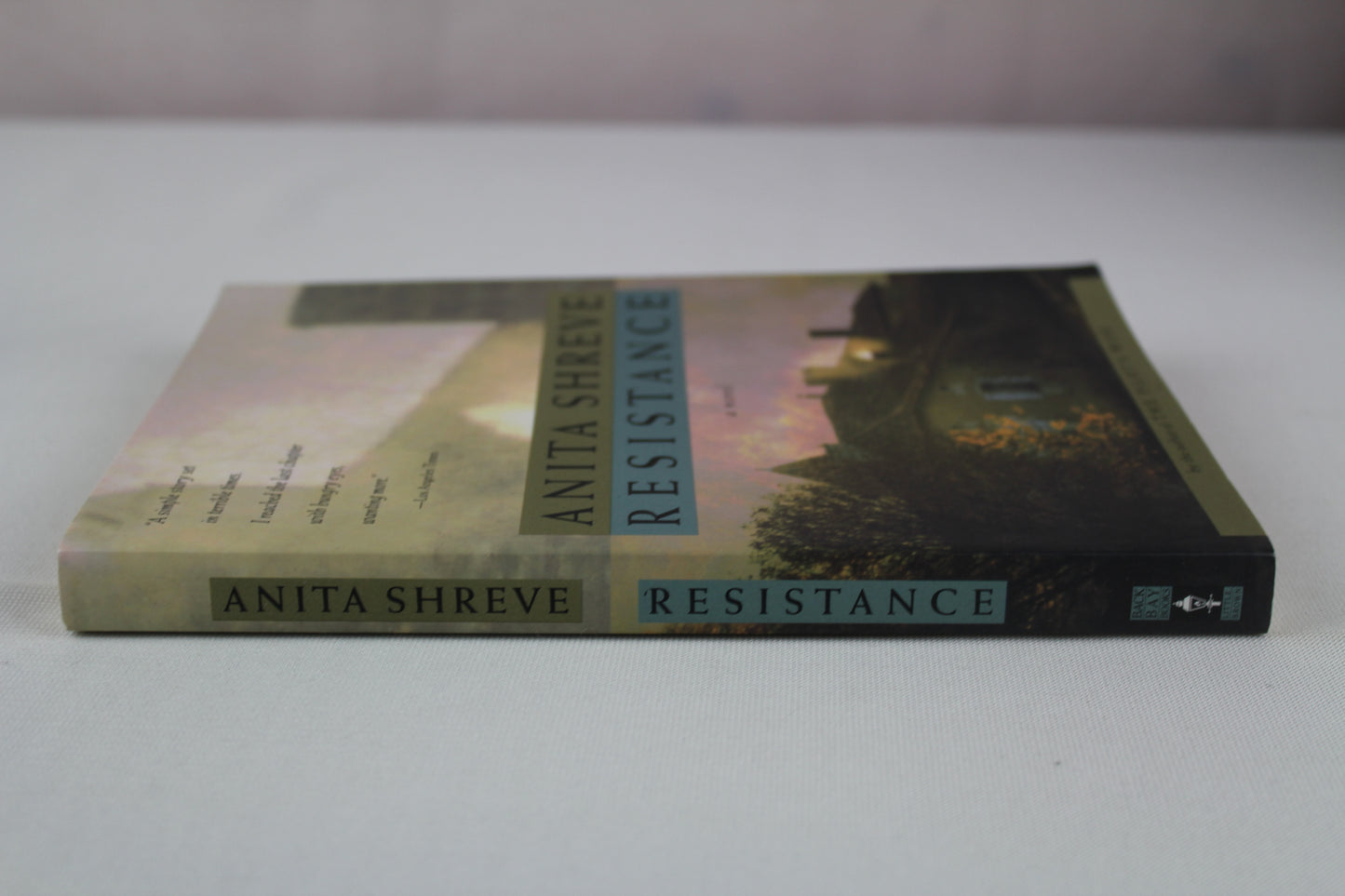 Resistance: A Novel by Anita Shreve
