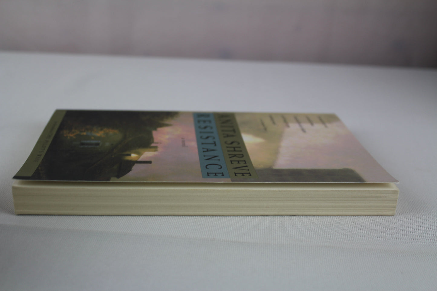 Resistance: A Novel by Anita Shreve