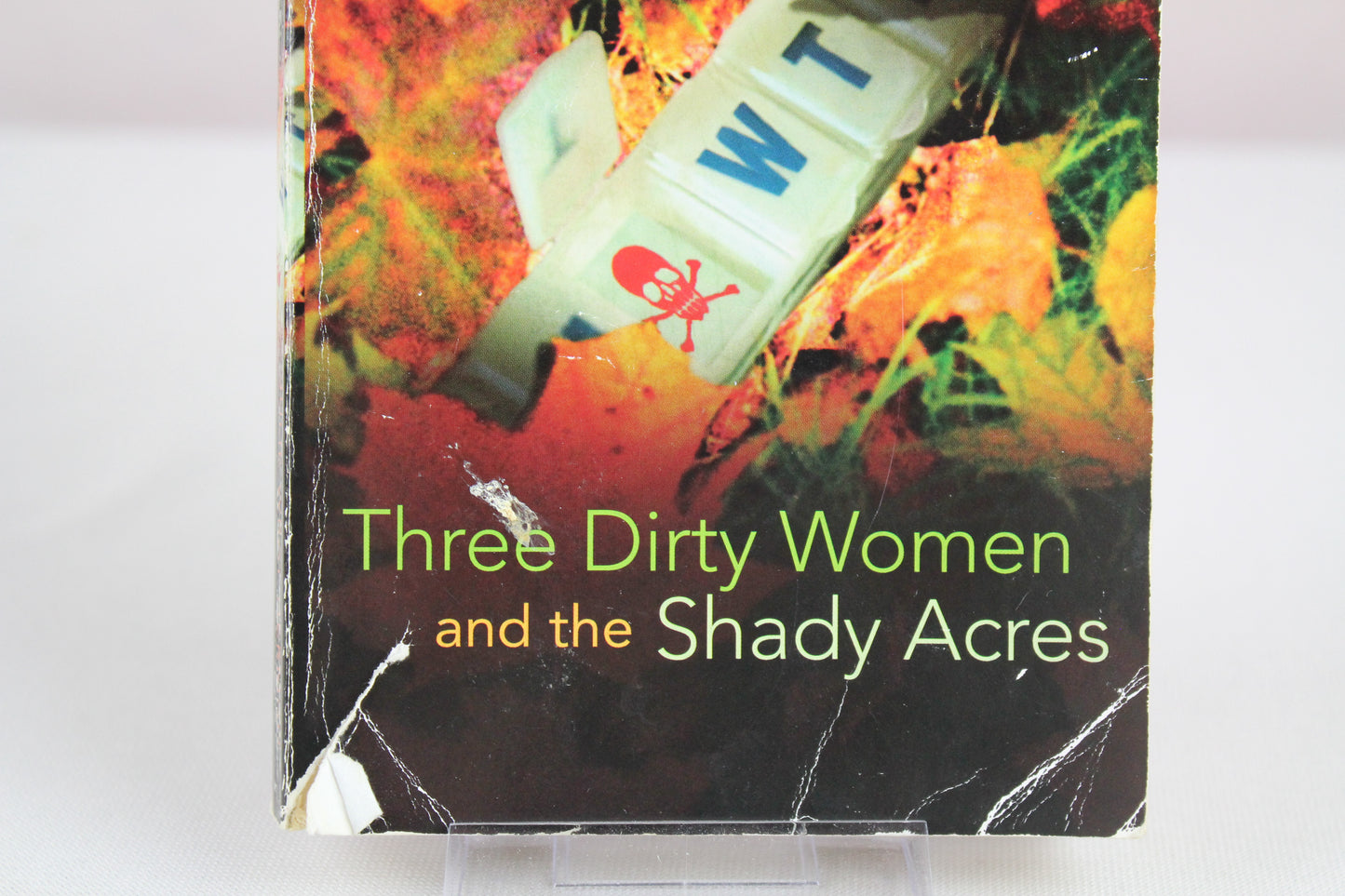 Three Dirty Woman and the Shady Acres by Julie Wray Herman