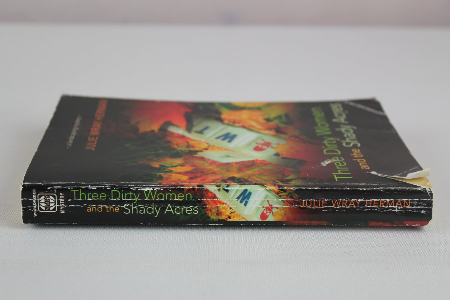 Three Dirty Woman and the Shady Acres by Julie Wray Herman
