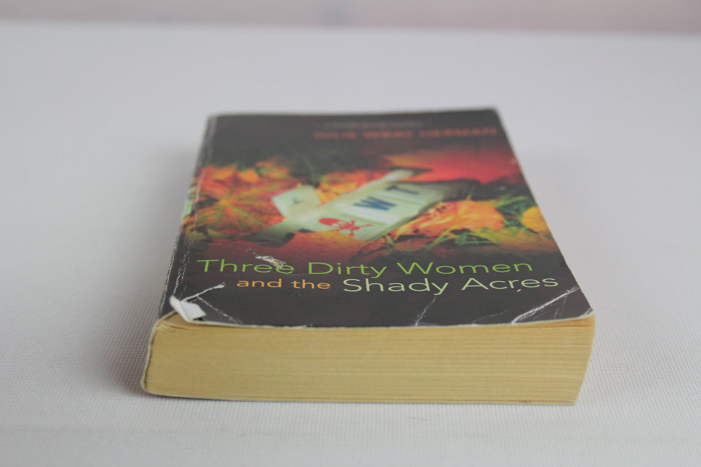 Three Dirty Woman and the Shady Acres by Julie Wray Herman