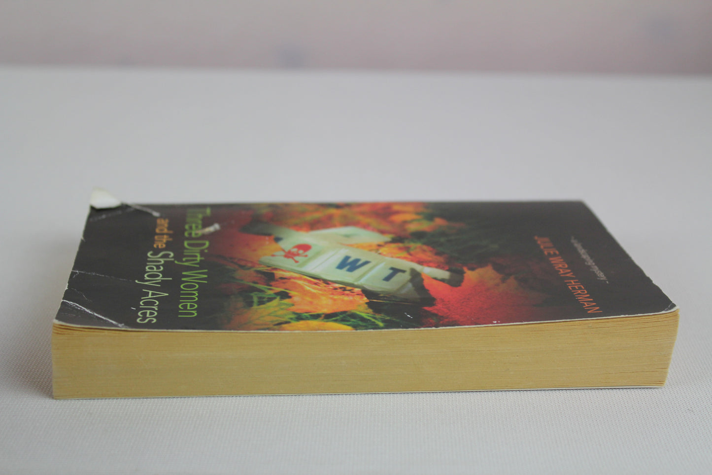 Three Dirty Woman and the Shady Acres by Julie Wray Herman