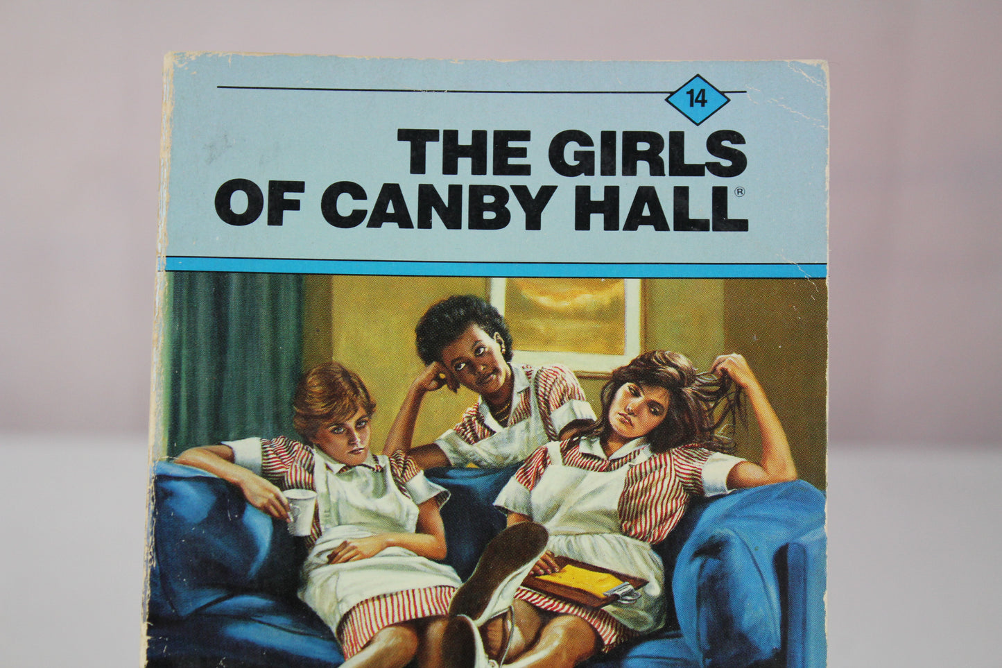 What's a Girl to Do? (The Girls of Canby Hall, No. 14) by Emily Chase
