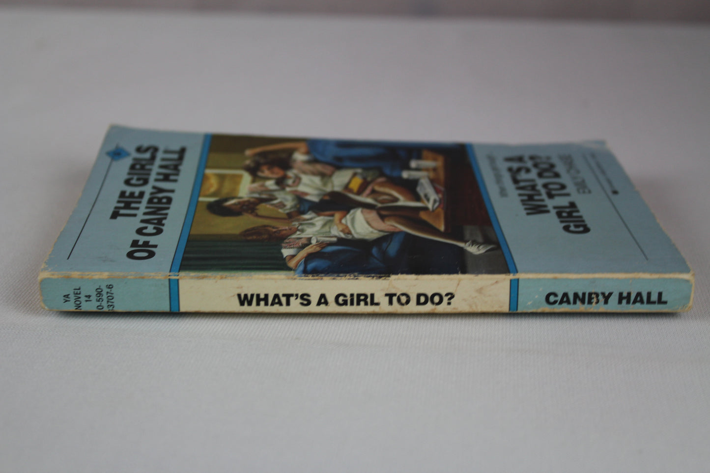 What's a Girl to Do? (The Girls of Canby Hall, No. 14) by Emily Chase