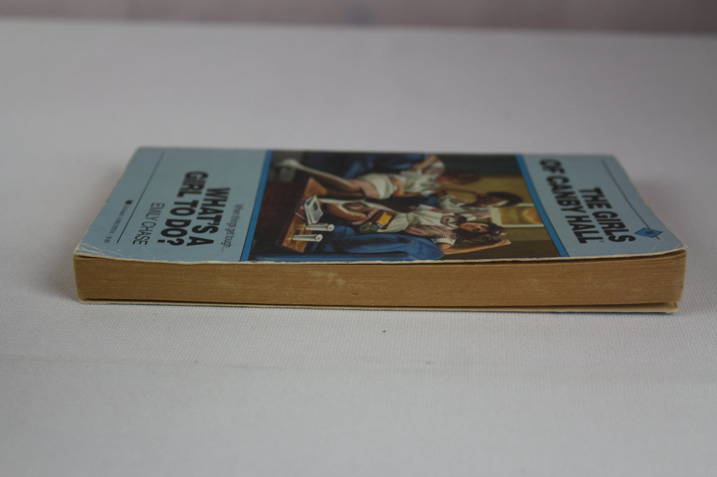 What's a Girl to Do? (The Girls of Canby Hall, No. 14) by Emily Chase
