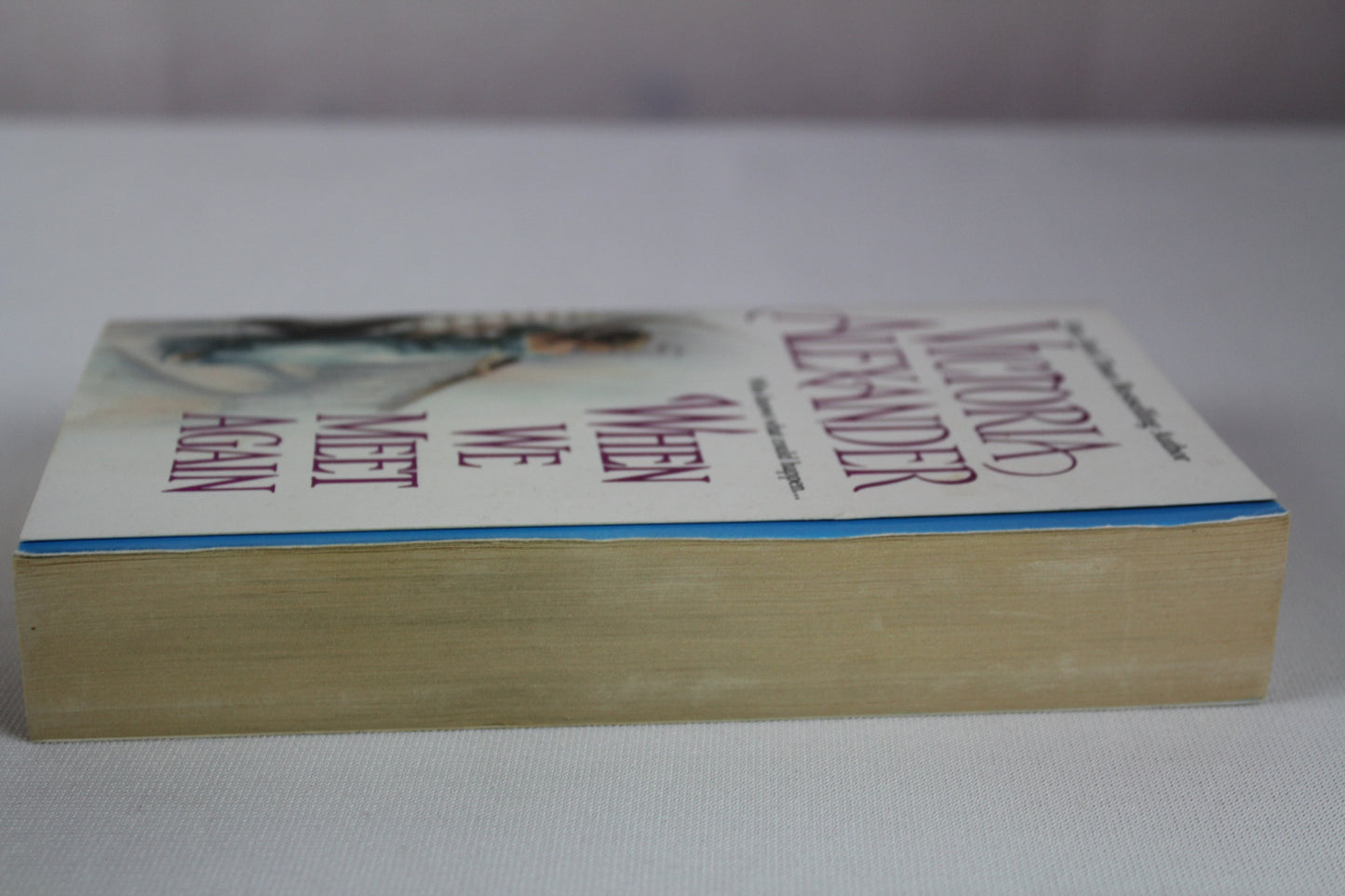 When We Meet Again (Effington Family & Friends, 10) by Victoria Alexander
