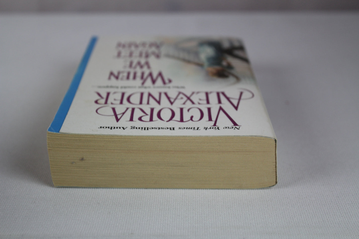 When We Meet Again (Effington Family & Friends, 10) by Victoria Alexander
