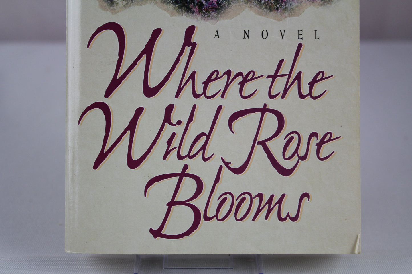 Where the Wild Rose Blooms (Rocky Mountain Memories) by Lori Wick