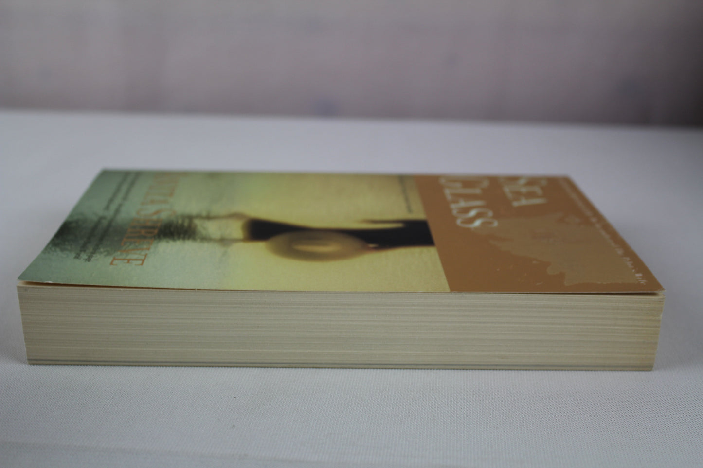 Sea Glass: A Novel by Anita Shreve