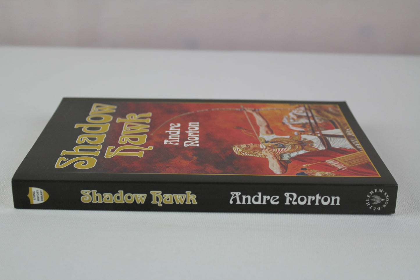 Shadow Hawk (Living History Library) by Andre Norton