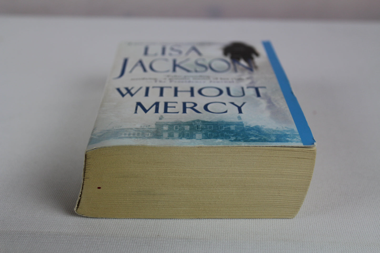Without Mercy by Lisa Jackson
