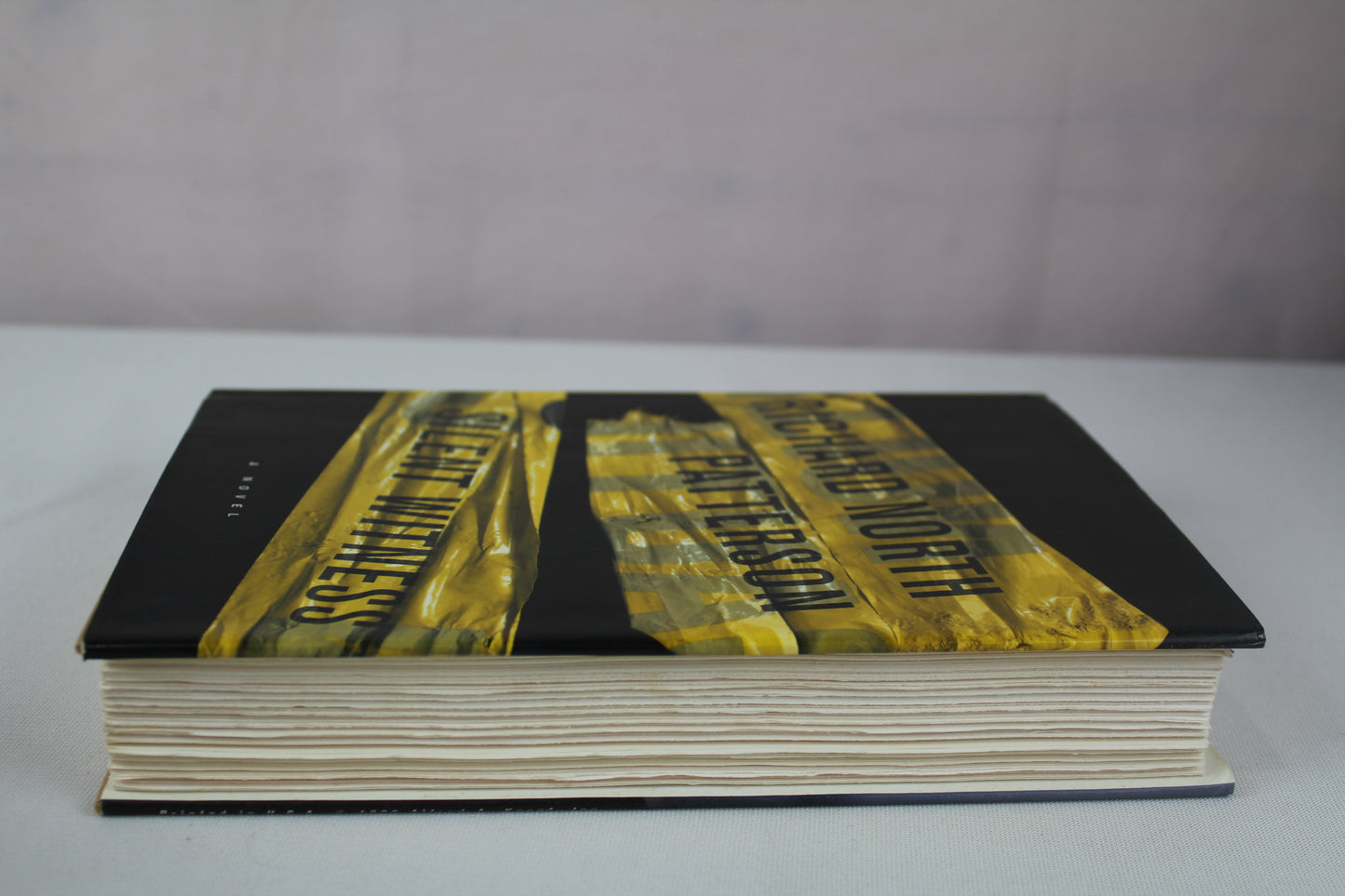Silent Witness by Richard North Patterson