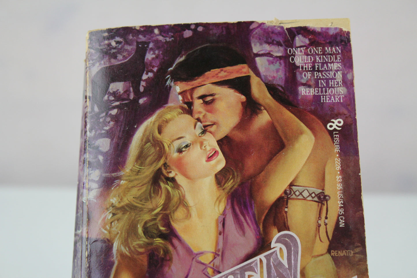 Silken Savage by Catherine Hart
