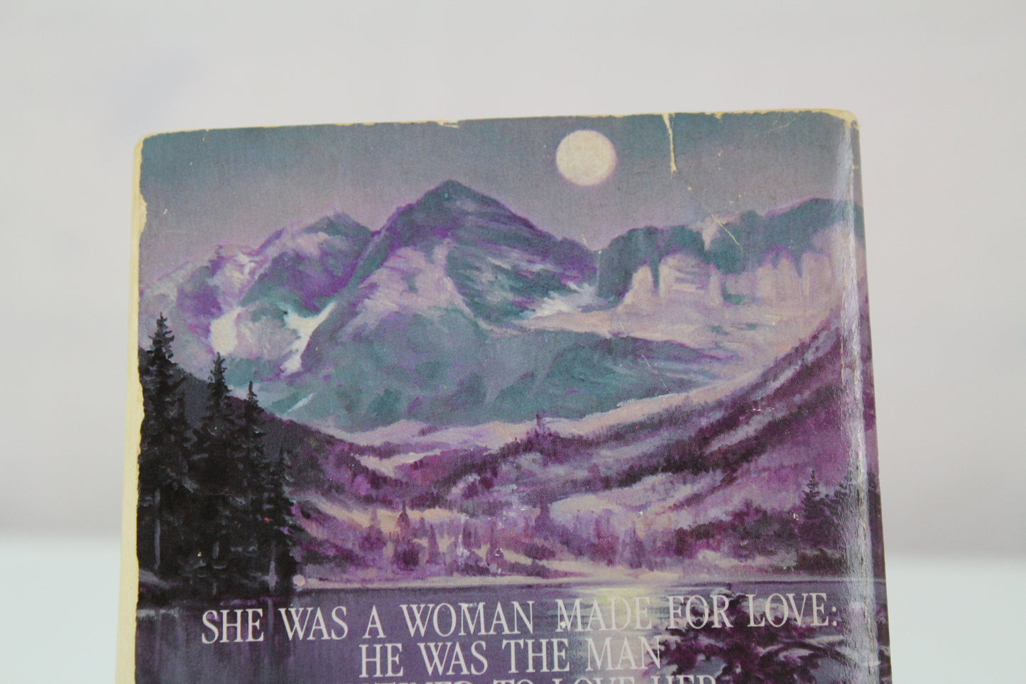 Silken Savage by Catherine Hart
