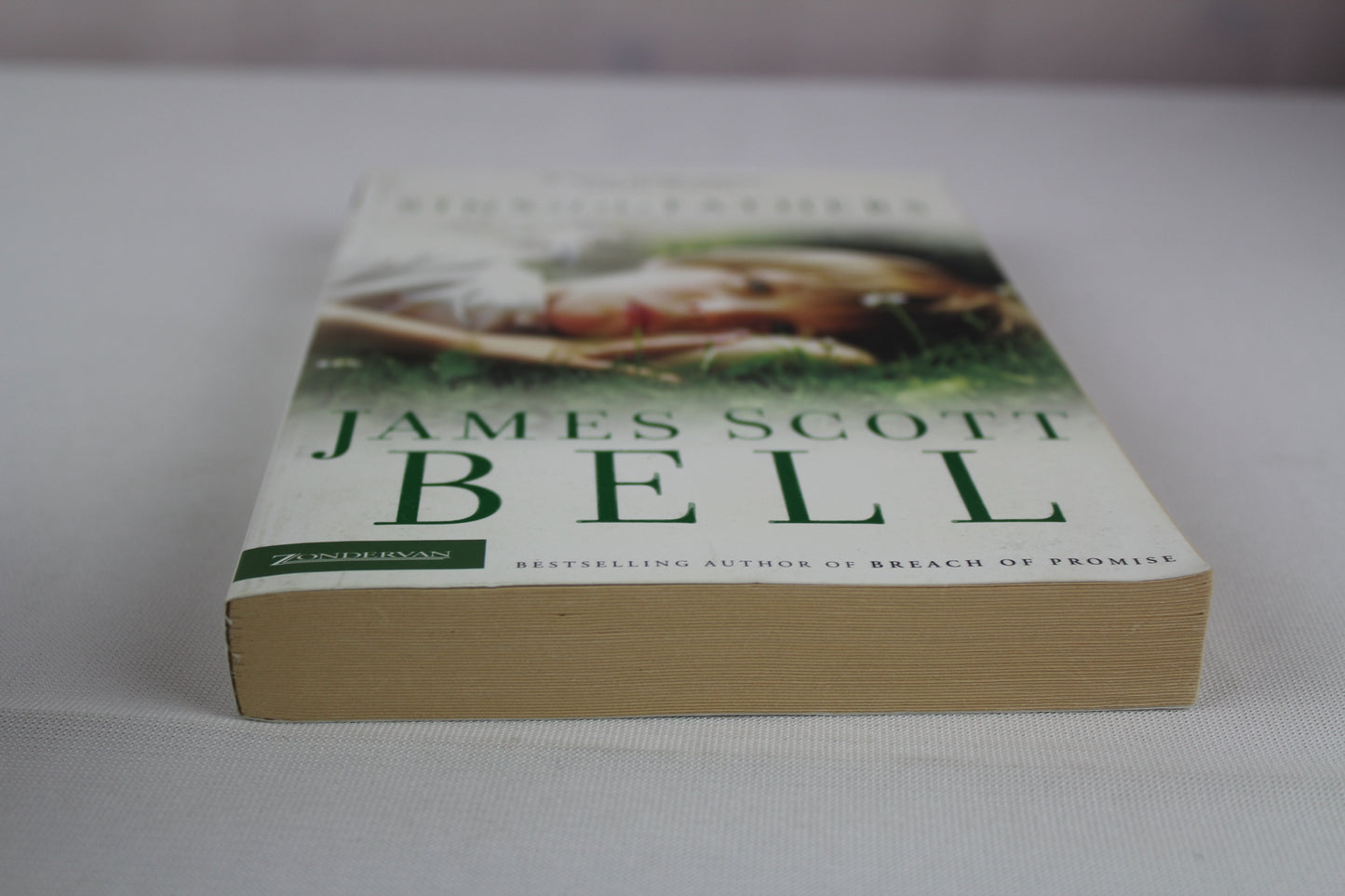 Sins of the Fathers by James Scott Bell