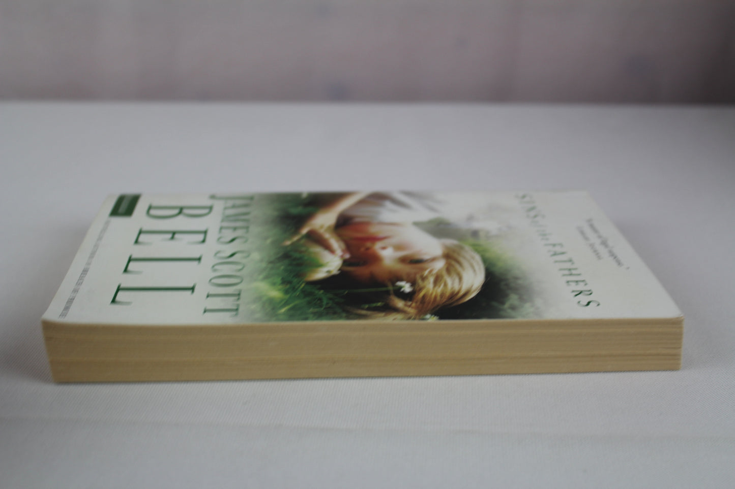 Sins of the Fathers by James Scott Bell