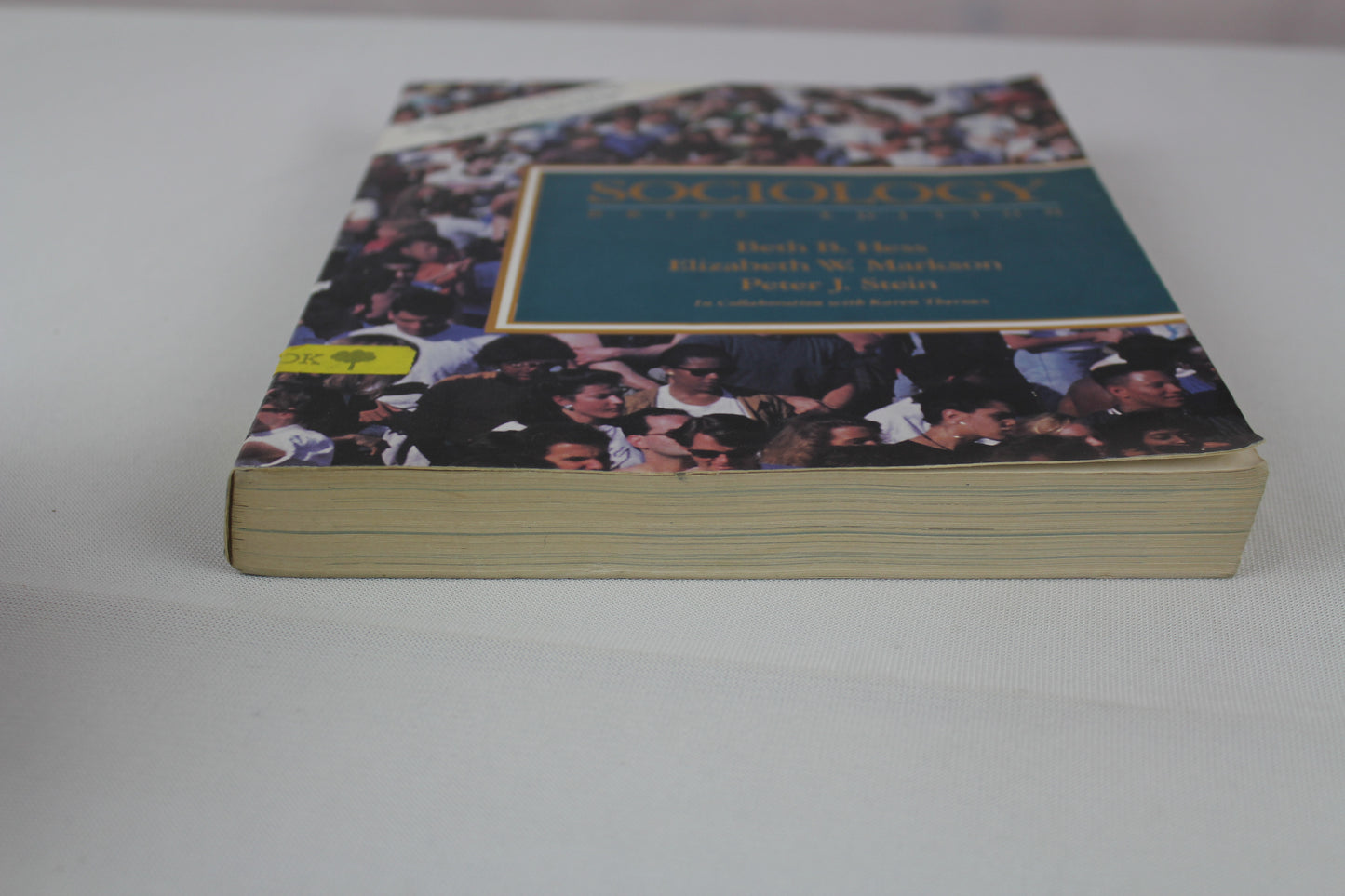 Sociology by Beth B. Hess