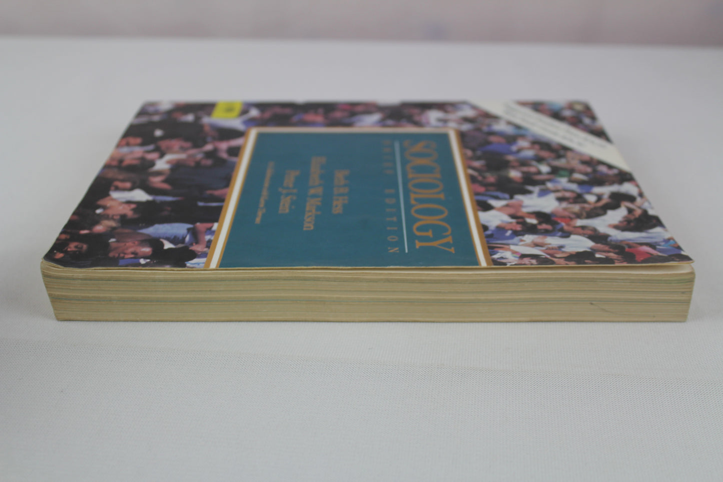 Sociology by Beth B. Hess