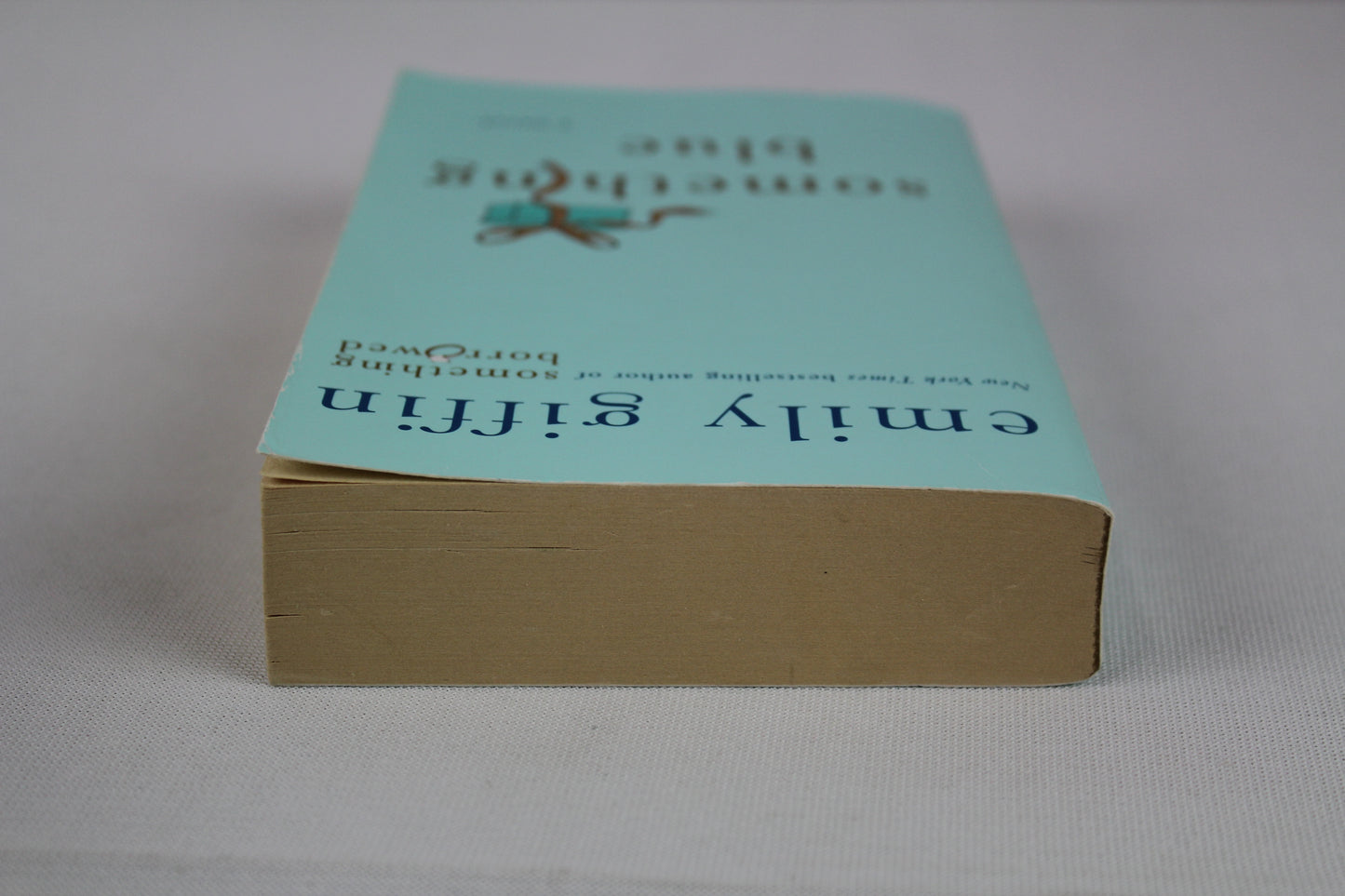Something Blue by Emily Giffin