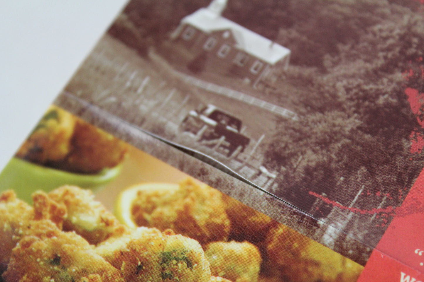 Southern Living: Homestyle Cookbook: Over 400 Mouthwatering, Made-with-Love Recipes by Editors of Southern Living Magazine