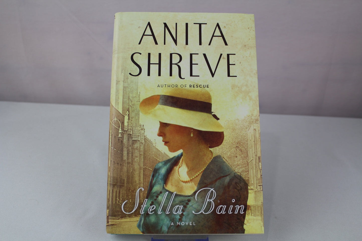 Stella Bain by Anita Shreve