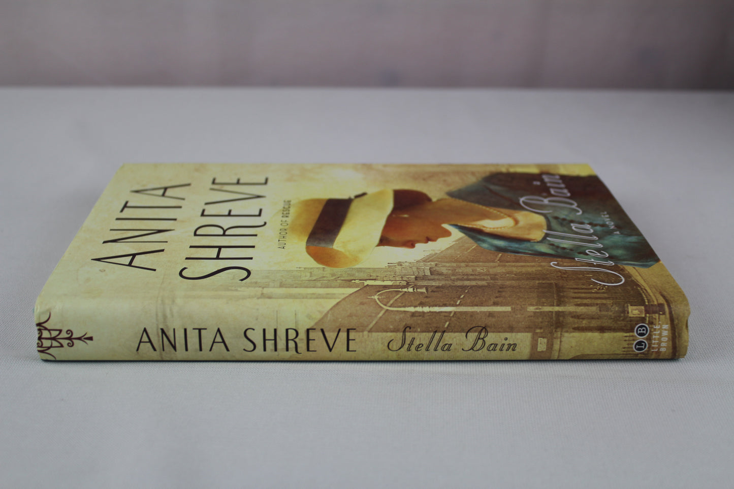 Stella Bain by Anita Shreve