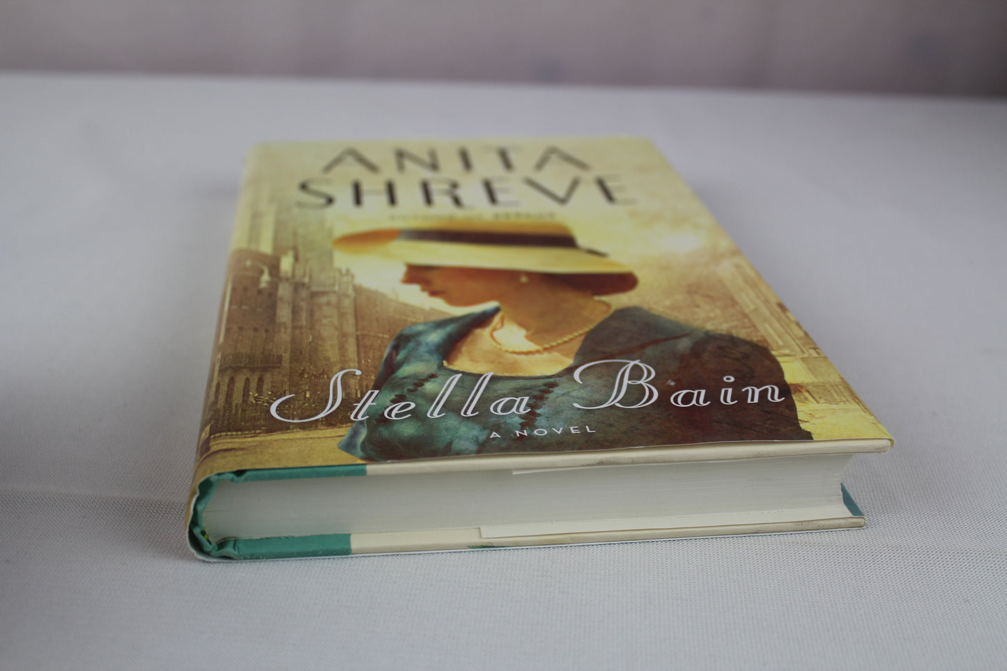 Stella Bain by Anita Shreve