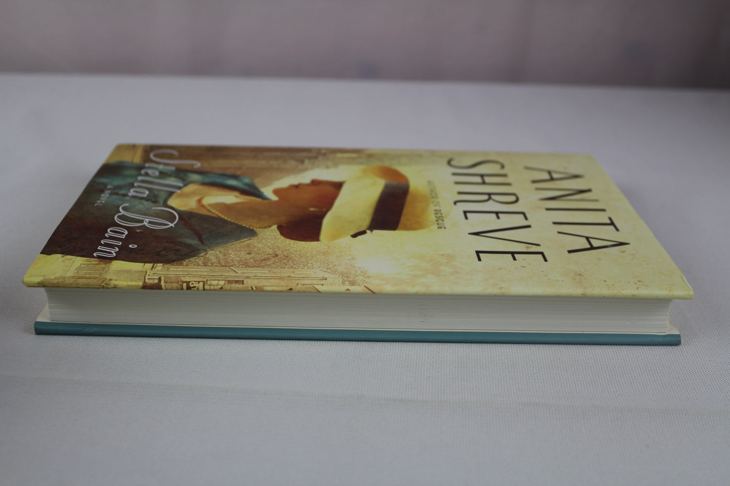 Stella Bain by Anita Shreve